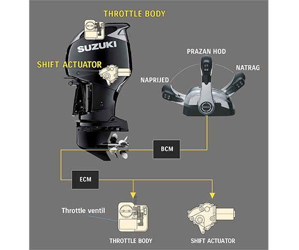 Diagram of Suzuki Precision Control